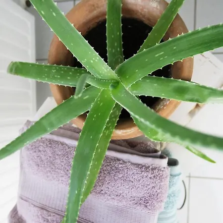 شقة Casita Apensen